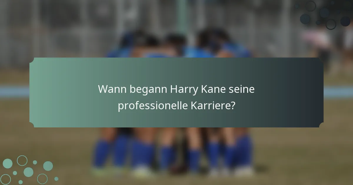 Wann begann Harry Kane seine professionelle Karriere?