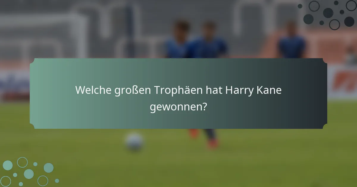 Welche großen Trophäen hat Harry Kane gewonnen?