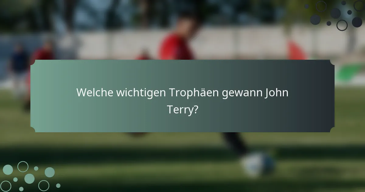 Welche wichtigen Trophäen gewann John Terry?
